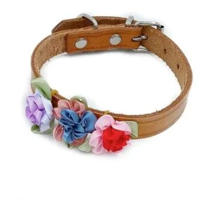 Mascota mostrar flores lazos para mascota Wbandas de