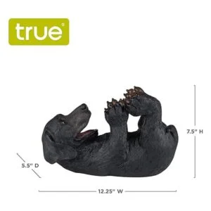 Foster Rye de TWINE cachorro juguetón Negro_3