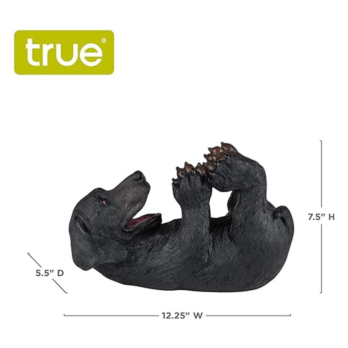 Foster Rye de TWINE cachorro juguetón Negro_3