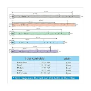 PET ARTIST Collares de perro de piel auténtica de lujo de