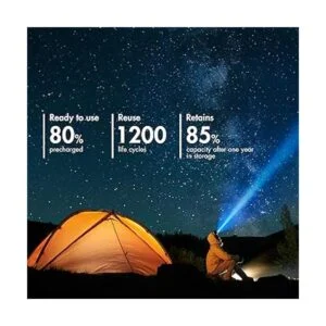 Tenergy TN438 16bay autodetectar AAAAA NIMHNICD_5