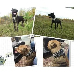 PET ARTIST Collares de perro de piel auténtica de lujo de