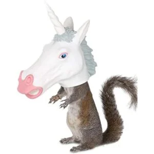 Alimentador de ardilla con diseño de cabeza de unicornio_1
