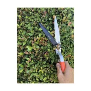 Qyard QY741F Tijeras de jardín extra afiladas para cama_6