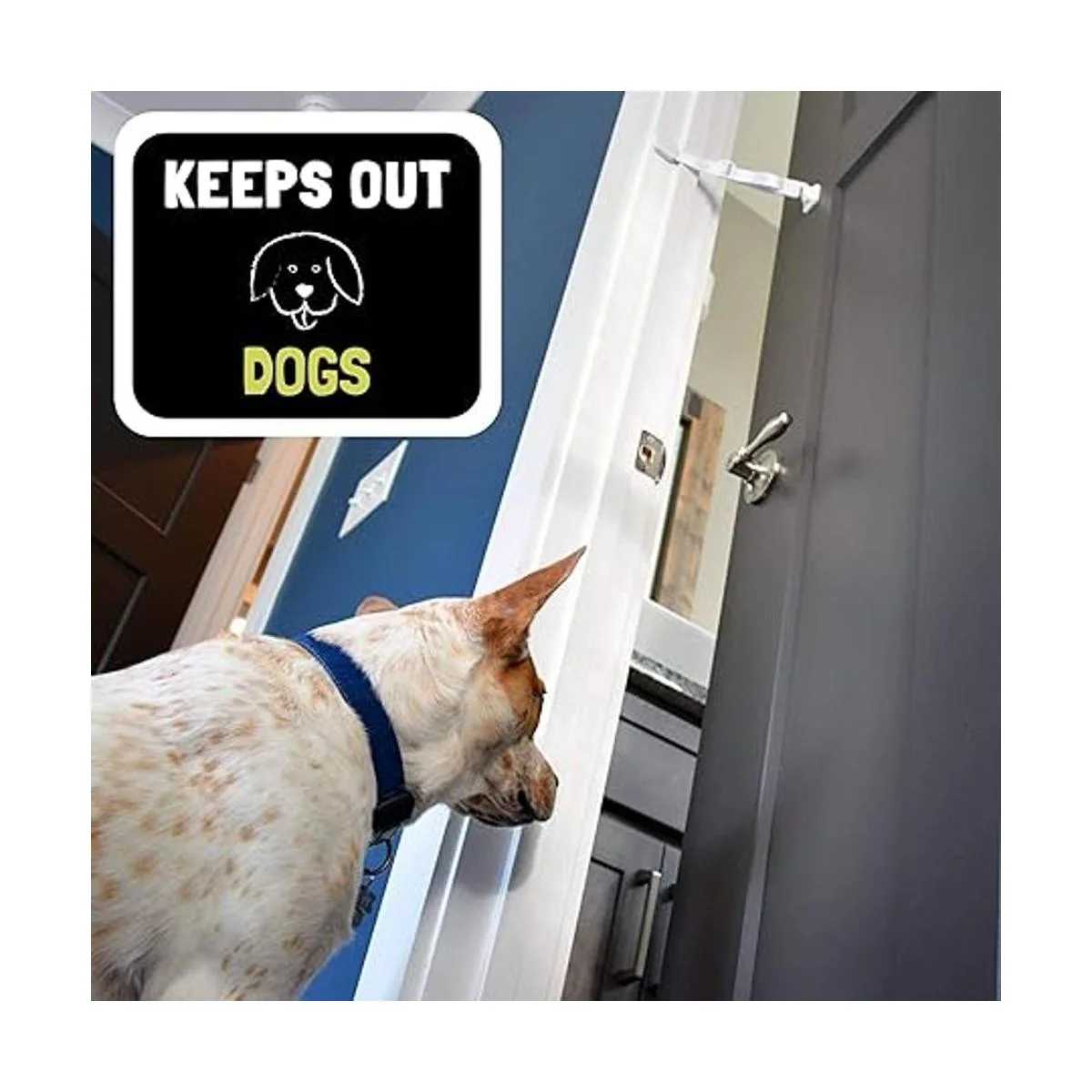 Puerta Buddy Puerta Latch a prueba de perro basura Box._4