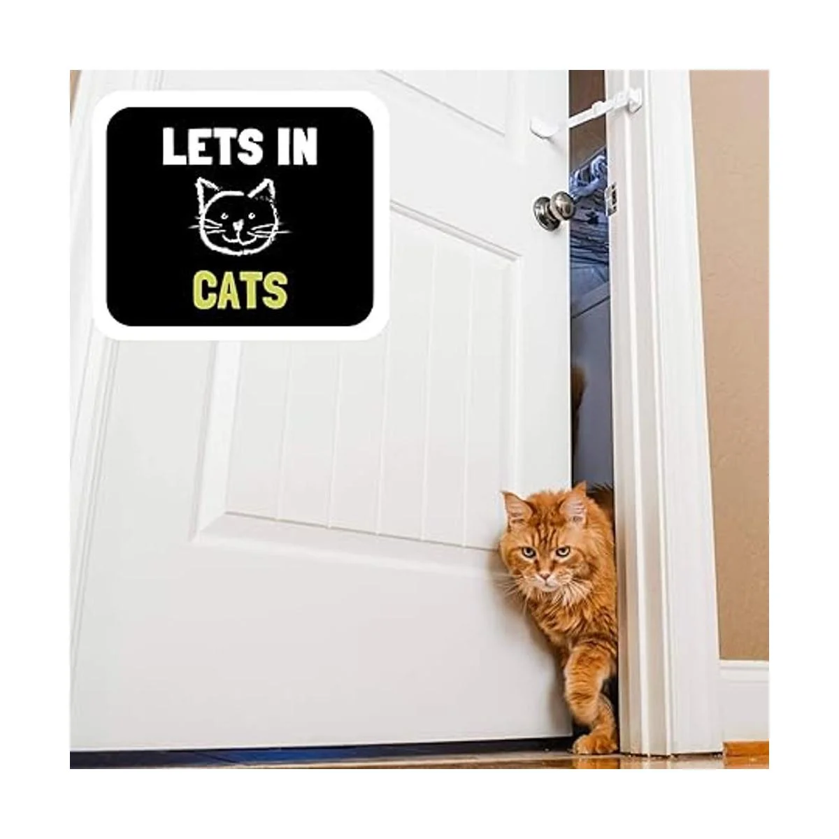 Puerta Buddy Puerta Latch a prueba de perro basura Box._3