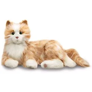 Entretenimiento para todos los gatos B7592 1_1
