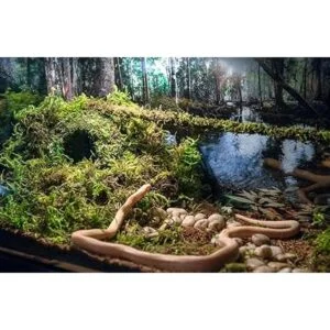 Galápagos 05348 Mossy Cave Ocult 6 pulgadas Green_3