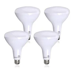 Paquete de 4 bombillas LED BR40 más brillantes de Bioluz_1