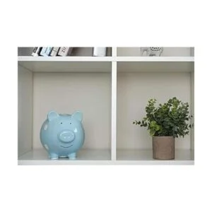 Pearhead Alcancía de cerámica de cerdito ideal como_4