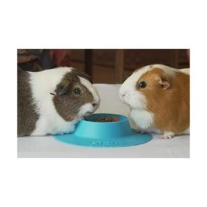 STAYbowl Cuenco ergonómico para mascotas a prueba de_3