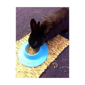 STAYbowl Cuenco ergonómico para mascotas a prueba de_4