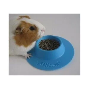 STAYbowl Cuenco ergonómico para mascotas a prueba de_6