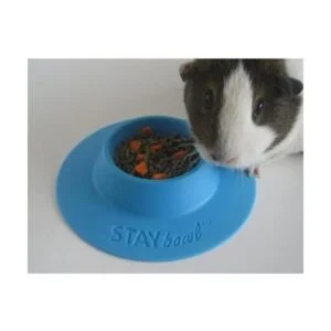 STAYbowl Cuenco ergonómico para mascotas a prueba de_2