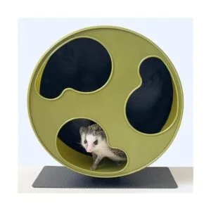 12 Silent Runner Rueda de ejercicio con amplia Track