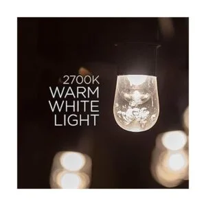 Enbrighten 31660 Cadena de luces LED clásicas para_5