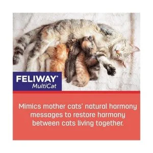 Feliway Multicat Recambio para difusor de 30 días