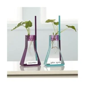 Educational Insights Nancy Bs Science Club kit para_2