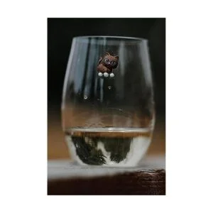 Simply Charmed Juego de 6 identificadores de cristal de_4