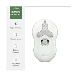 Hunter 59244 Dempsey Ventilador de techo con luz y mando a_4