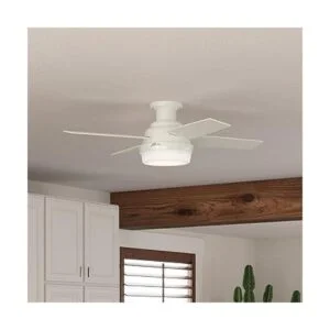 Hunter 59244 Dempsey Ventilador de techo con luz y mando a_3