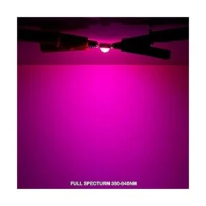 Chanzon Chip LED de alta potencia de 50 W de espectro