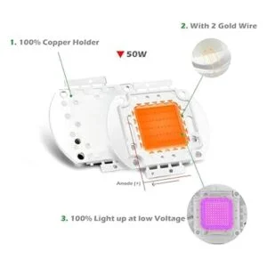 Chanzon Chip LED de alta potencia de 50 W de espectro