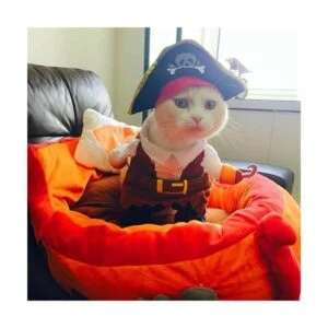 Idepet New Funny Pet Clothes Pirate Dog Cat Costume Suit