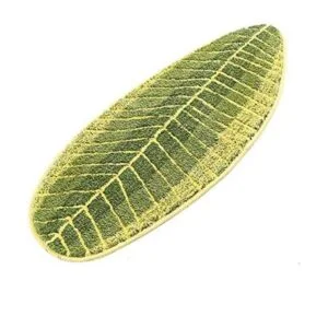 MustMat Alfombras y tapetes antideslizantes de cocina con_1