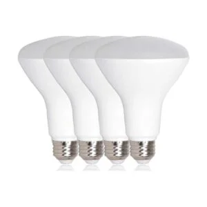 MLBBR30120WVARIATION MLBBR30120W4 11.00watts 120.00 volts_1