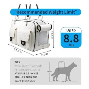 Betop House Aerolínea de viaje para mascotas de lados