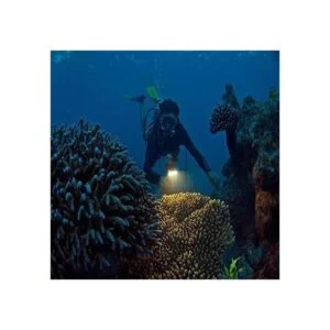 Suptig Luz de video LED regulable impermeable de alta_2