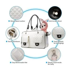 Betop House Aerolínea de viaje para mascotas de lados