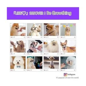 Purple Dragon Juego de 4 tijeras profesionales de aseo