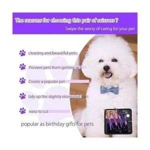 Purple Dragon Juego de 4 tijeras profesionales de aseo