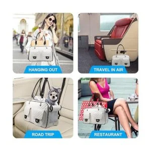 Betop House Aerolínea de viaje para mascotas de lados