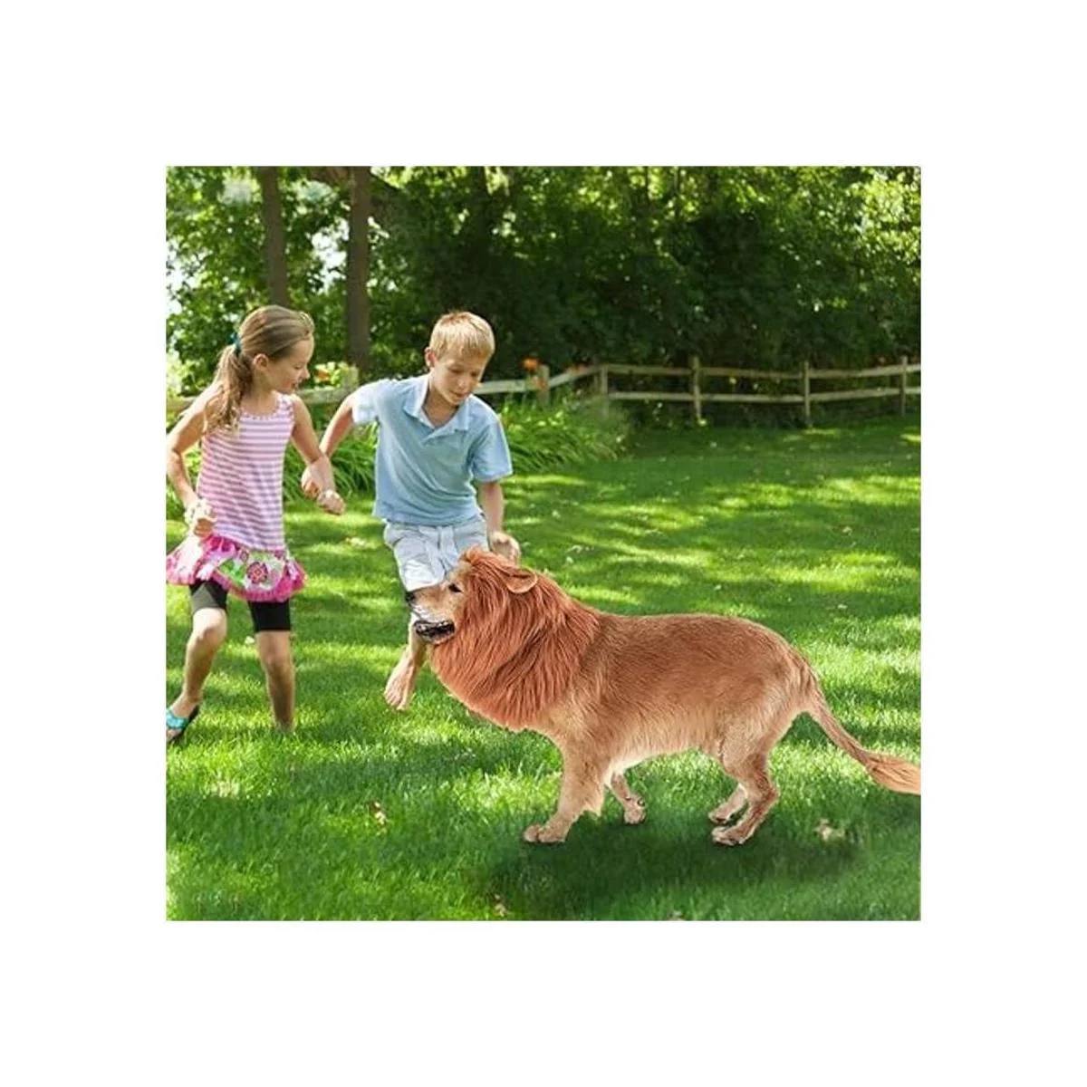 Rwm Disfraz de melena de león para perro peluca de_5