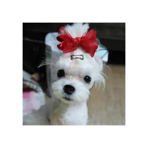 RIMOBUL Mini clip de pelo para mascotas de 1 pulgada_3