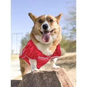 Pets First San Francisco 49Ers Mesh Jersey for Dogs