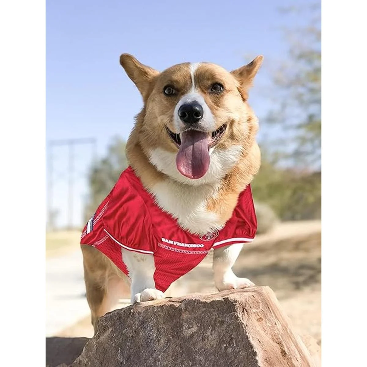 Pets First San Francisco 49Ers Mesh Jersey for Dogs