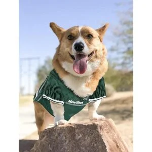 Pets First New York Jets Mesh Jersey for Dogs