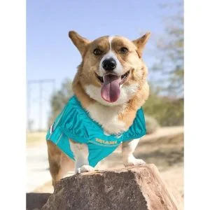 Pets First Miami Dolphins Mesh Jersey for Dogs_3