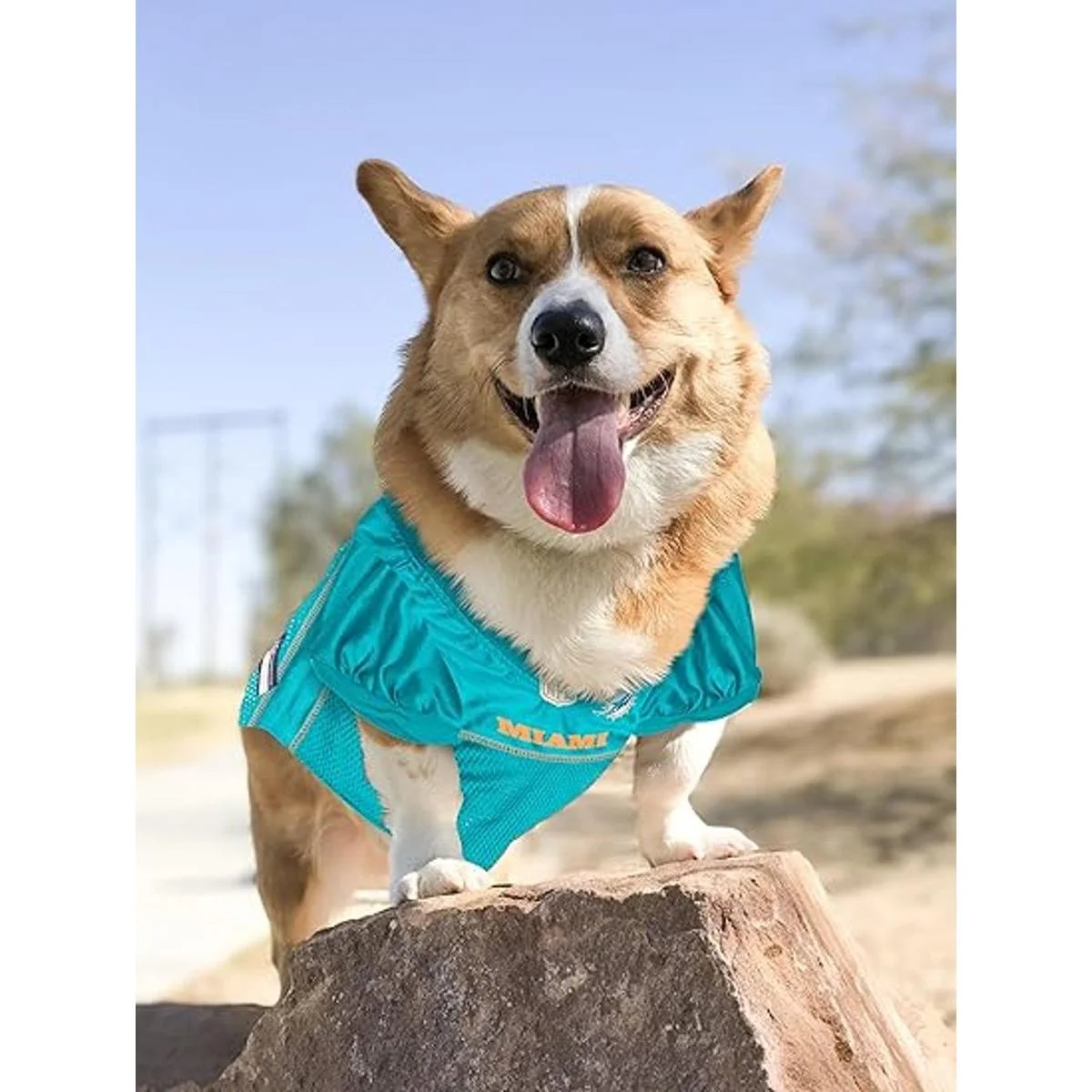 Pets First Miami Dolphins Mesh Jersey for Dogs_3