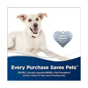 Bissell 1806 Vaporera Power Fresh Deluxe Parent_2