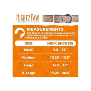 Mighty Paw Collar de cuero para perro cuero auténtico_2