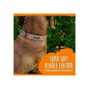 Mighty Paw Collar de cuero para perro cuero auténtico_4