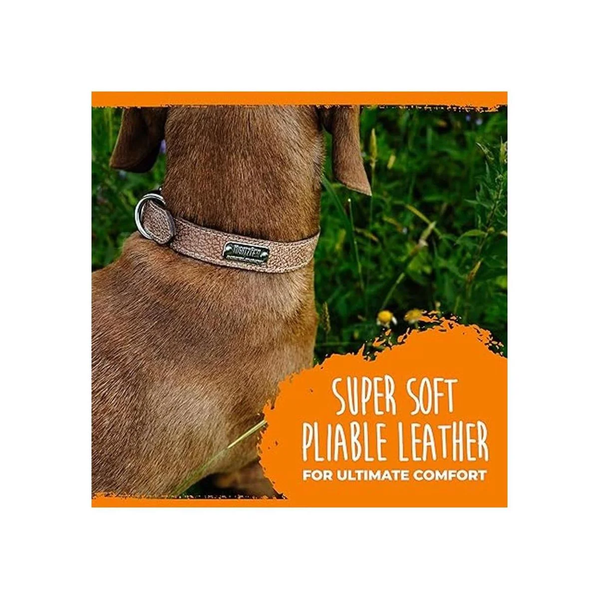 Mighty Paw Collar de cuero para perro cuero auténtico_4