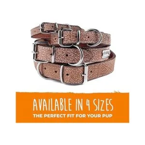 Mighty Paw Collar de cuero para perro cuero auténtico_6