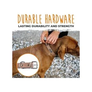 Mighty Paw Collar de cuero para perro cuero auténtico_5