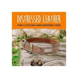 Mighty Paw Collar de cuero para perro cuero auténtico_3